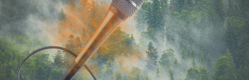 SÉANCES DÉCOUVERTES