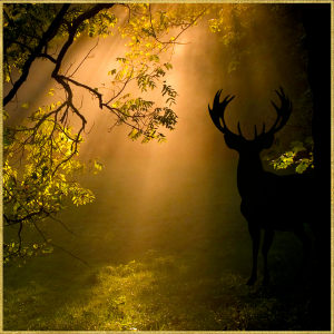 1. BALADE Séance Découverte du Chant 1H (avec bilan à l'oral sans suivi après la séance)