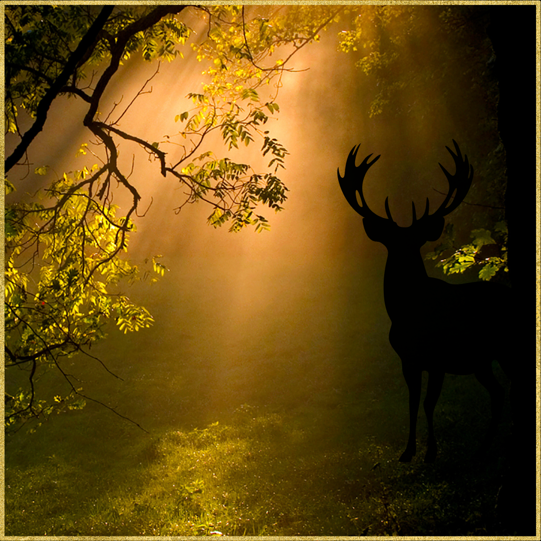 1. BALADE Séance Découverte du Chant 1H (avec bilan à l&rsquo;oral sans suivi après la séance)