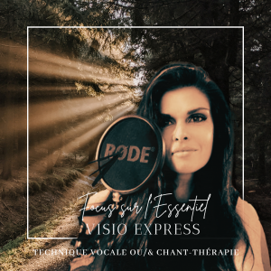 SÉANCES EN VISIO 1H